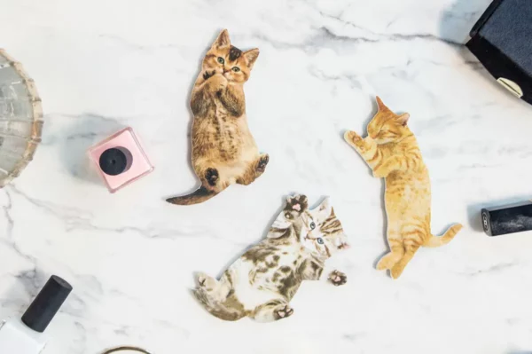 Cat lovers nail files